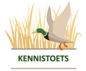 Toets 1 – Praktische toepassing omgevingswet